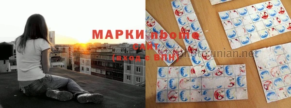 стафф Баксан
