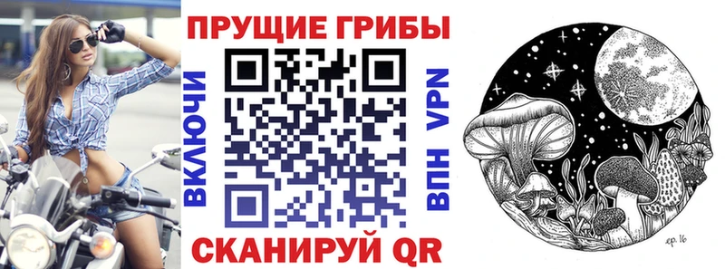 площадка наркотические препараты  Борисоглебск  Галлюциногенные грибы ЛСД 