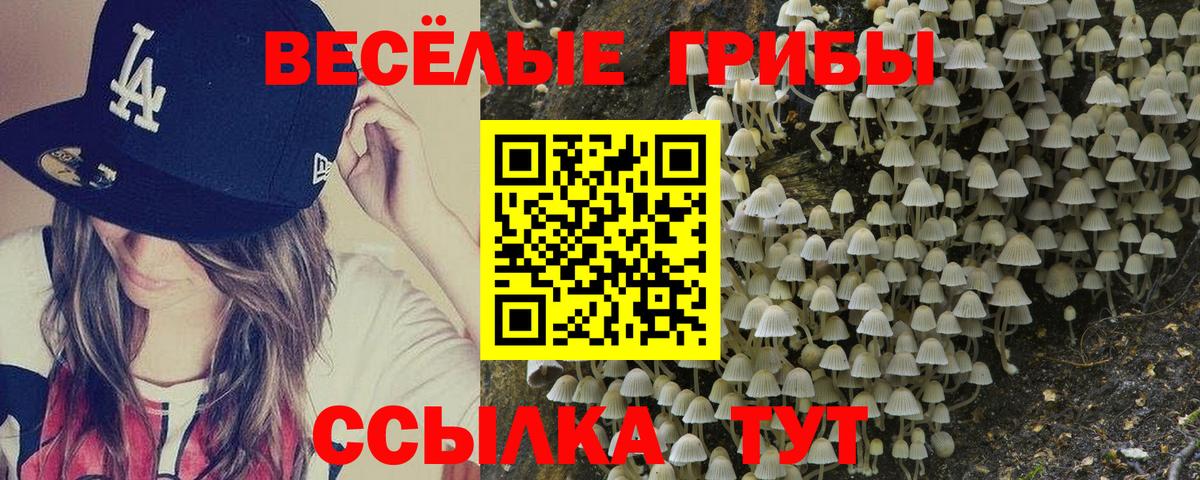 Галлюциногенные грибы Magic Shrooms Борисоглебск