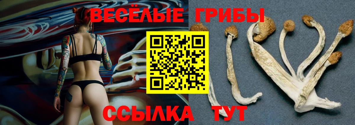 Борисоглебск  Псилоцибиновые грибы ЛСД  Галлюциногенные грибы ЛСД  Вход с VPN 